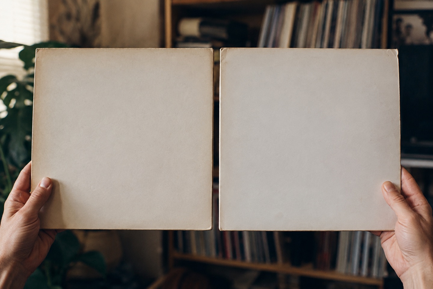 Two hands hold up two identical blank record sleeves side by side in front of a record shelf.